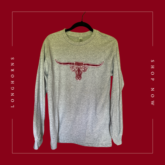 Longhorns Gray Game Day Long Sleeve T-Shirt